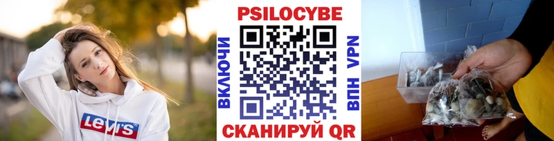 Псилоцибиновые грибы MAGIC MUSHROOMS  Черногорск 
